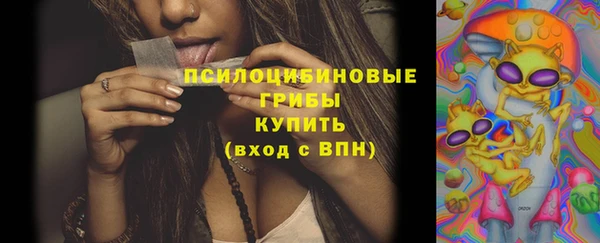 винт Абаза