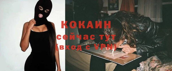 гашик Липки