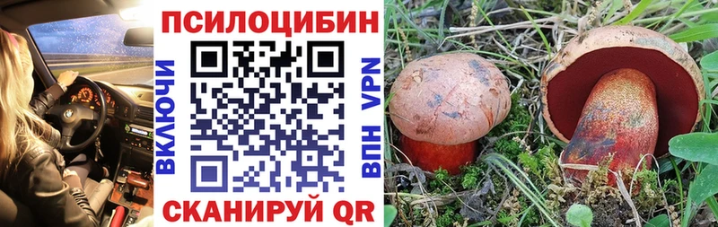 Псилоцибиновые грибы мухоморы  нарко площадка клад  Нальчик  KRAKEN онион 